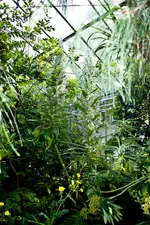 Botanische Erlangen 550D (23 von 77).webp
