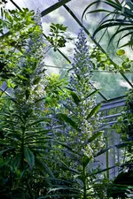 Botanische Erlangen 550D (24 von 77).webp
