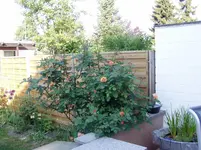 2011 05 07 019.webp