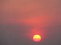 Bild 511.webp