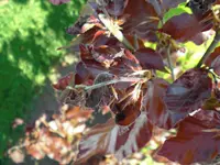 CIMG0001.webp