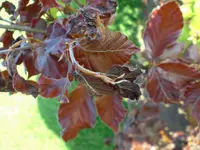 CIMG0002.webp
