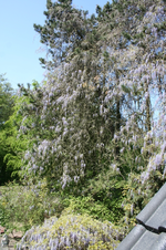 IMG_2818 - Kopie.webp