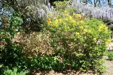 IMG_2808 - Kopie.webp