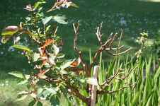 IMG_2816 - Kopie.webp