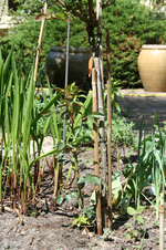 IMG_2814 - Kopie.webp
