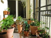 IMG_1630.webp