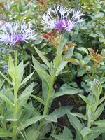 IMG_5316.webp