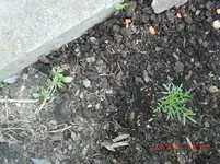 CIMG2841.webp