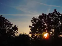 010.webp