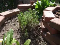 DSCF3302.webp
