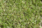 IMG_5953.gif