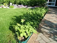 DSCF5344.webp