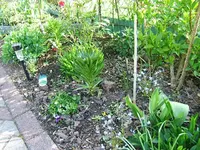DSCF5345.webp