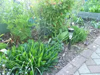 DSCF5346.webp