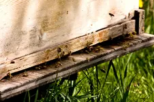 Waldsassen 40D (14 von 21).webp