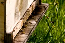Waldsassen 40D (15 von 21).webp