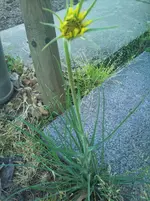 DSC_0566 - Kopie.webp