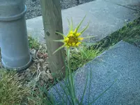 DSC_0564.webp
