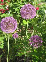 IMG_4642.webp