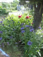 IMG_4646.webp