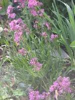 IMG_4649.webp
