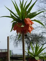 fotos 004.webp