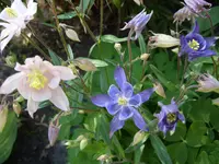 bilder 002.webp