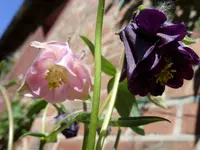 bilder 008.webp