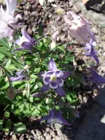 bilder 011.webp