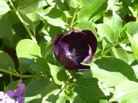 bilder 004.webp