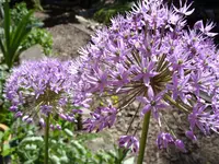 bilder 007.webp