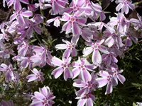 bilder 003.webp