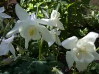 bilder 001.webp