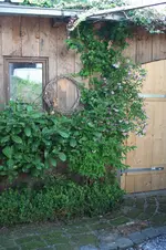 hinter dem Carport.webp