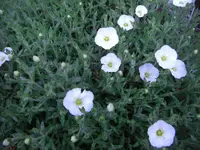 CIMG6425.webp