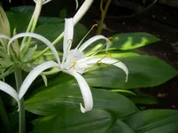 DSCN4096.webp