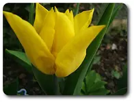 DSCF5349.webp