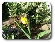 DSCF5353.webp