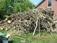 DSCN0202.webp