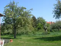 DSCN0205.webp
