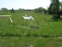 DSCN0206.webp