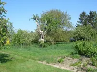 DSCN0207.webp