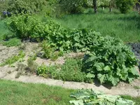 DSCN0208.webp