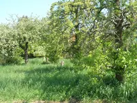 DSCN0210.webp