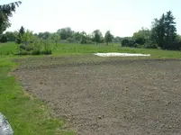 DSCN0214.webp