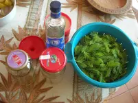 DSCN0215.webp