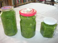 DSCN0216.webp