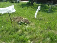 DSCN0217.webp