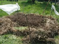 DSCN0225.webp